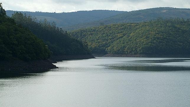 Un tesoro de luz verde