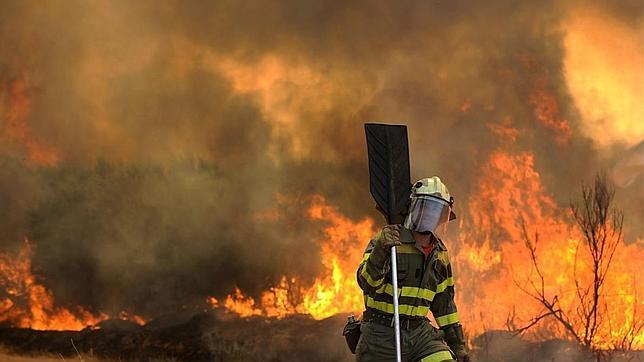 Solo 17 autores de incendio forestal están en prisión