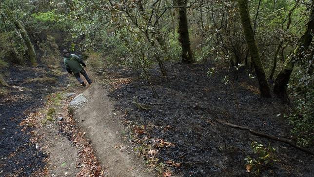 La Xunta pone un «notable alto» a la extinción del fuego en las Fragas del Eume