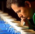 «Soy funcionario, apenas tomo café y estoy muriendo por asplastamiento de trabajo»