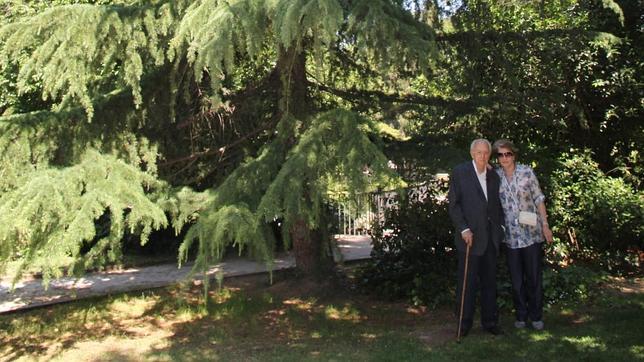 Antonio Mingote, el ángel del Retiro