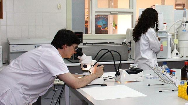 La Universidad de Barcelona, la más productiva en ciencia y la más citada