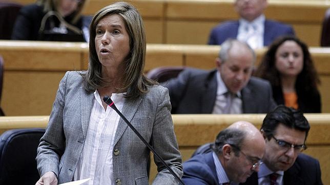 Sanidad no descarta retirar el aborto de la cartera básica de servicios, según las clínicas