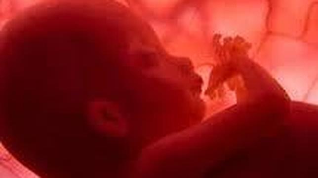 «Matar a un hijo en España hoy es más rápido y barato que operarse de cadera»