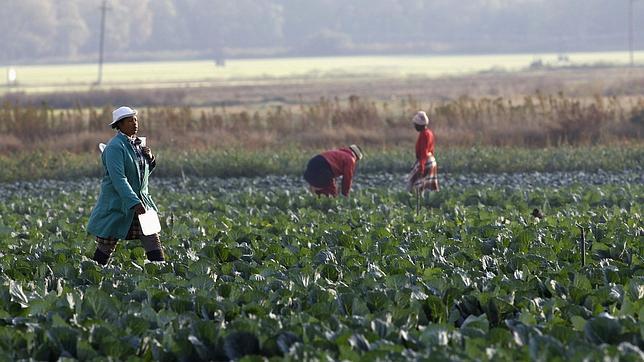 El Primero de Mayo en África