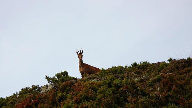 Las diez mejores ideas para salvar la naturaleza