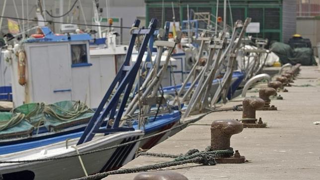 Pescadores de Algeciras: «Si hay un muerto, no sería el único»