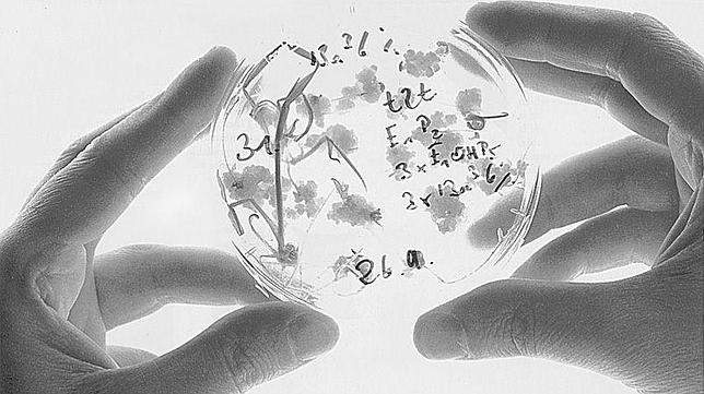 Investigadores españoles desarrollan un nuevo método para convertir el azúcar en energía