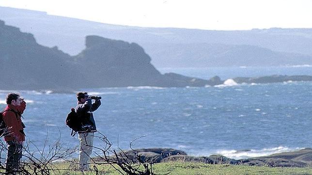 El secreto de la longevidad