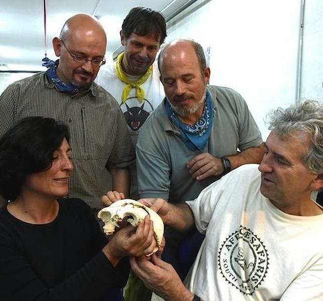 Un diario británico acusa a Arsuaga de «distorsionar la teoría de la evolución humana»