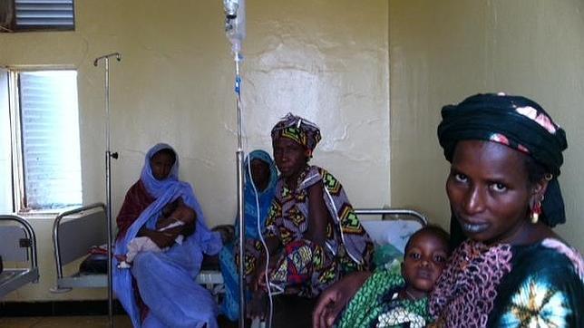 Bienvenidos a la supervivencia