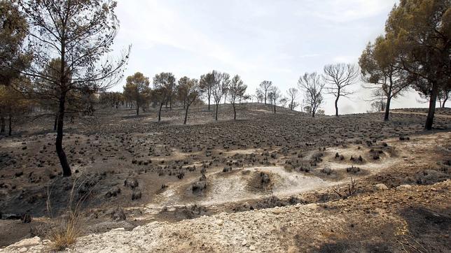 El incendio en la localidad murciana de Moratalla está bajo control