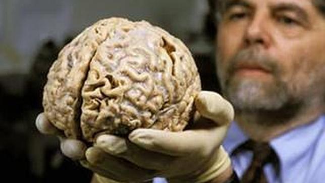 Una sola región del cerebro decide cómo y cuándo engañar a un contrincante