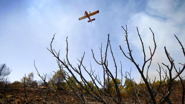 El fuego de Cocentaina ha quemado 500 hectáreas de matorral y arbolado