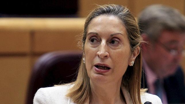 La ministra de Fomento, parada por el cordón de seguridad al llegar al Congreso
