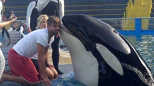 El beso de Shakira, Piqué y la orca