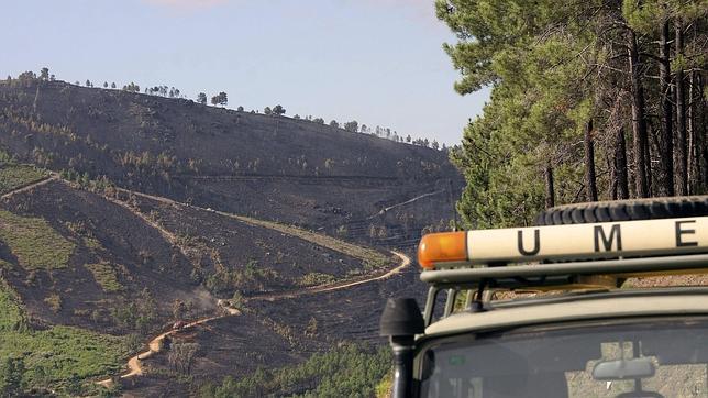 Una «tormenta perfecta» de incendios forestales devora 130.000 hectáreas en 2012