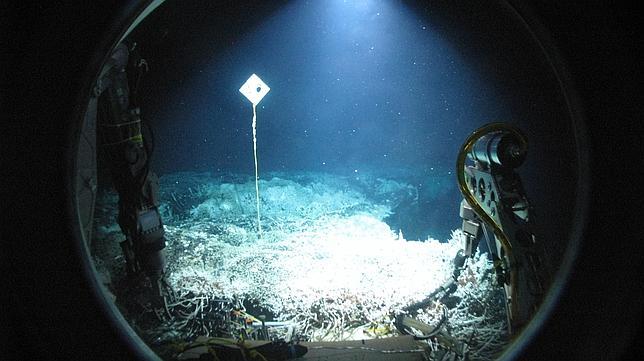 Vida extrema en los volcanes submarinos