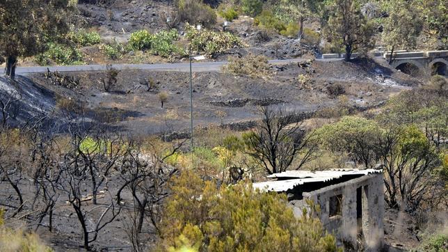 Los incendios de La Gomera y La Palma, controlados