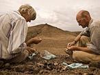 El homo erectus tenía compañía