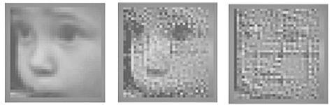 Un implante de retina devuelve la vista a ratones ciegos