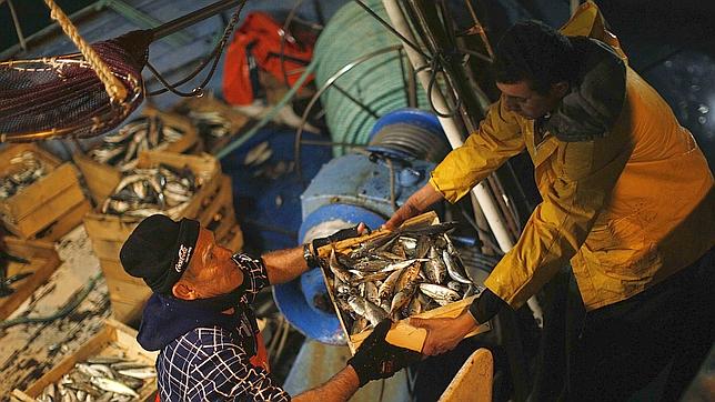 Gibraltar advierte de que no permitirá pescar con redes