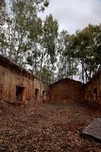 La casa del wolframio se la comió la maleza