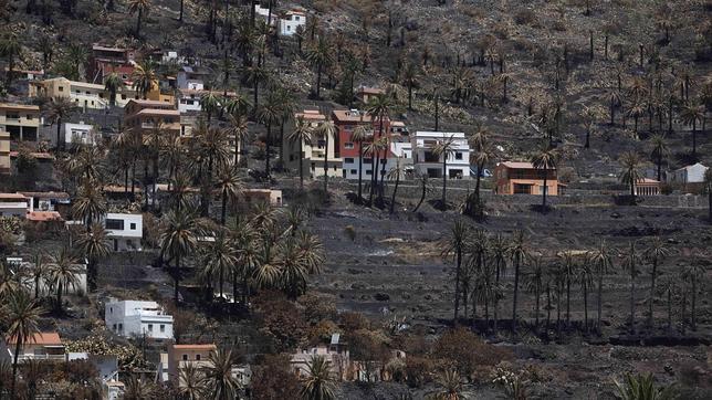 «Lo que vivimos fue algo de ciencia ficción, horroroso»