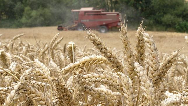 La ONU pide que el G20 actúe sobre la subida en los precios de alimentos