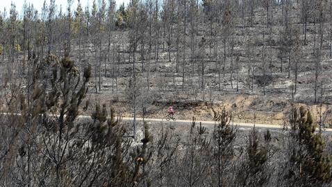 Los incendios han arrasado ya 34.000 hectáreas en lo que va de año