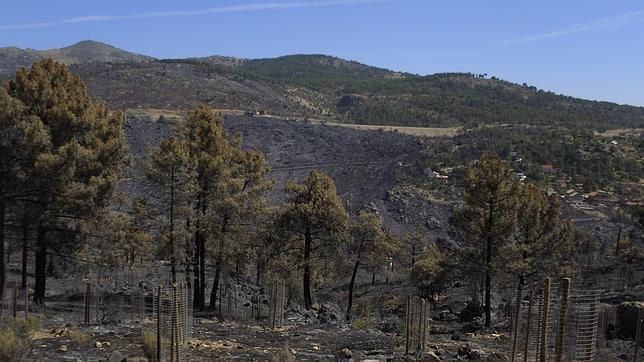 Dos helicópteros y un dispositivo de 130 personas trabajan aún en Robledo