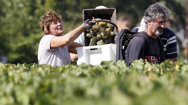 Naciones Unidas pide una acción coordinada para evitar una crisis alimentaria
