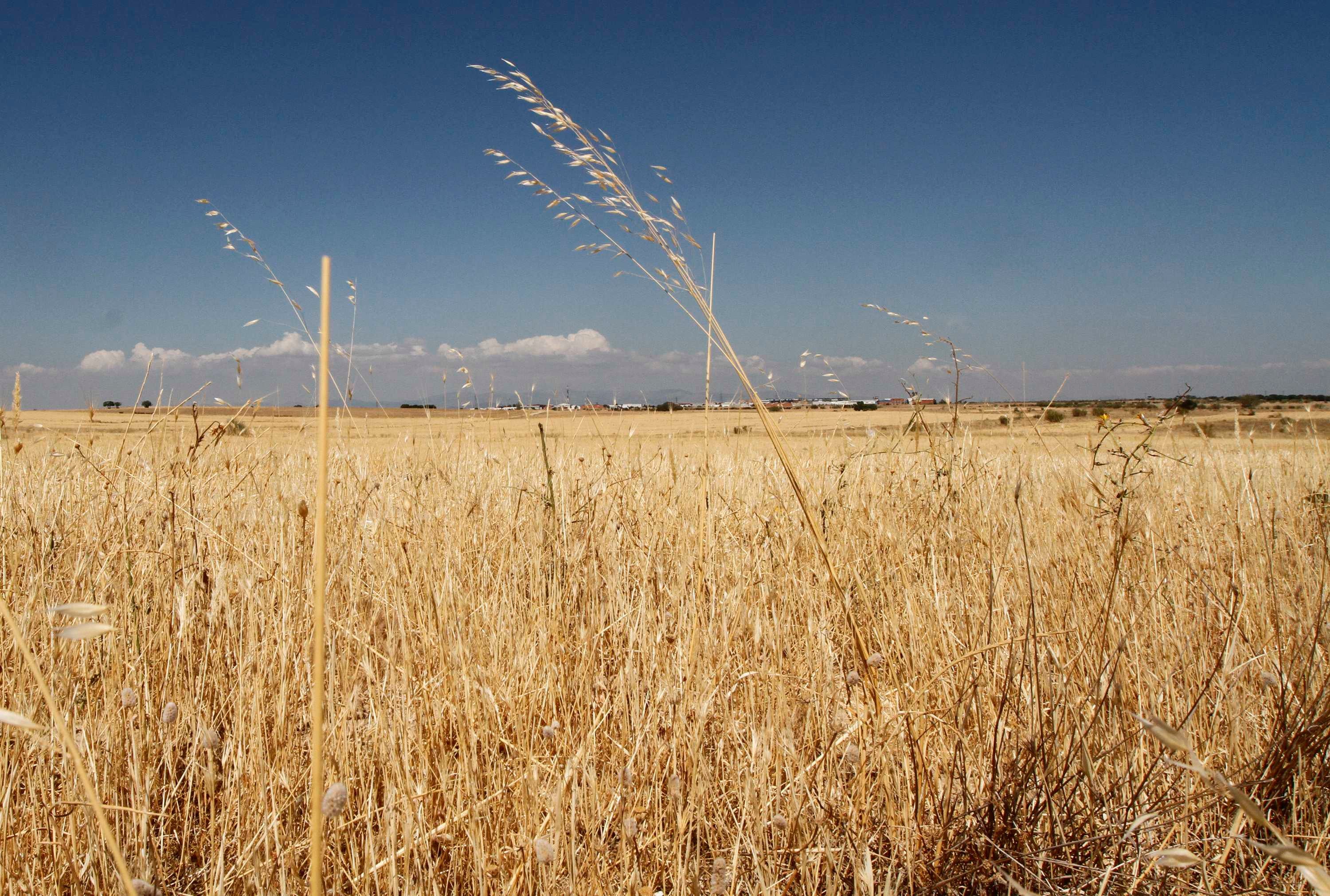 Cronología de una dura e intensa negociación