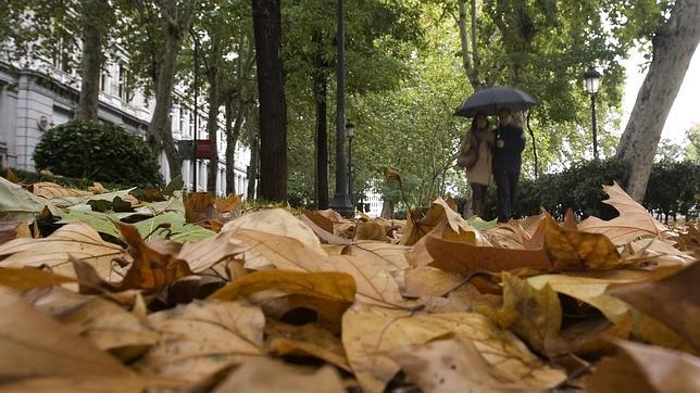 Cómo afrontar el otoño sin caer en la depresión