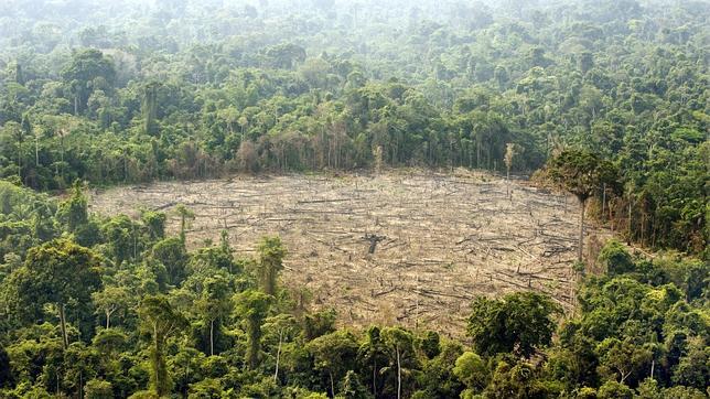 Brasil modifica su Código Forestal