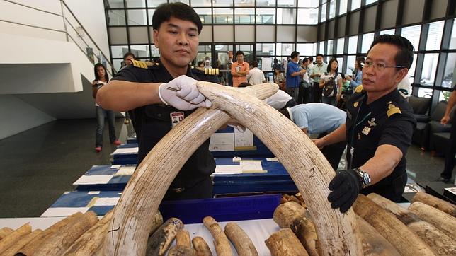 Una parte del marfil ilegal es esculpido como piezas religiosas en Filipinas