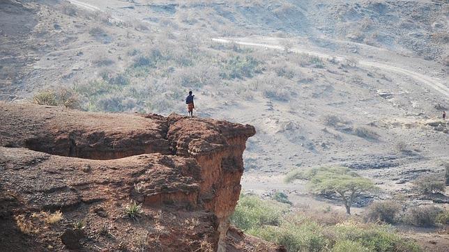 Los primeros homínidos eran cazadores, no carroñeros