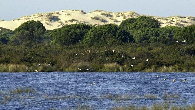 Municipios del entorno de Doñana vierten 5 millones de aguas residuales sin depurar