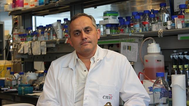 Miguel Ángel del Pozo recibe el Carmen y Severo Ochoa de Investigación en Biología Molecular 2012