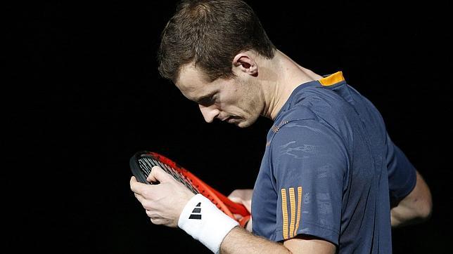 Murray y Del Potro también caen en París