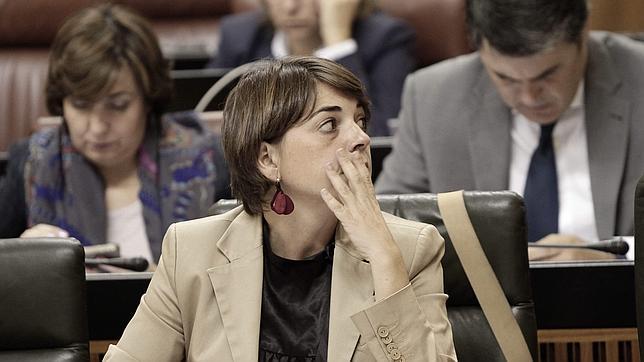 Solo cobrarán sueldo los 7 diputados liberados y los otros 42, por asistencia