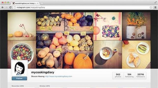 Instagram llega a internet