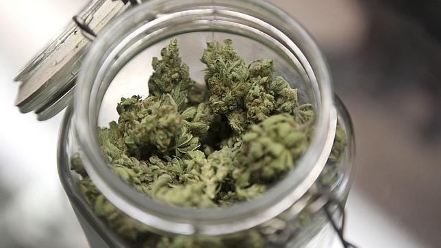 Nada de marihuana en la NFL y la NBA