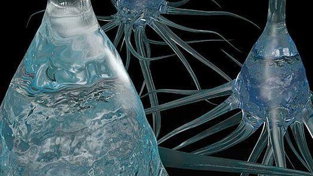 Crean un «cable» que conecta el cerebro a las máquinas