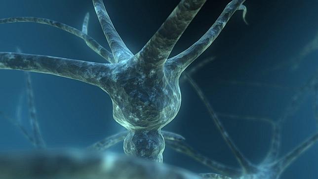 Una proteína del Parkinson provoca enfermedades y la muerte neuronal