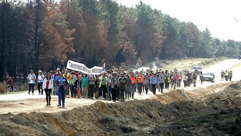 Afectados por el fuego de Castrocontrigo piden «planes» en lugar de «remiendos»