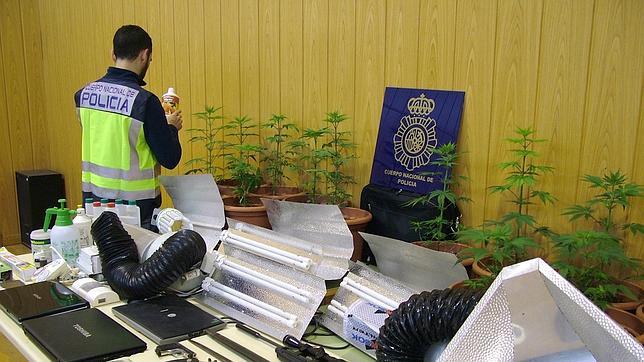 Contrata a un sicario holandés para asesinar a su exmarido por 50.000 euros