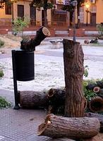 Madrid clona árboles de especies resistentes a plagas y sequías