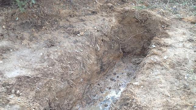 Los restos hallados en una fosa los han cotejado con los de 1.500 desaparecidos