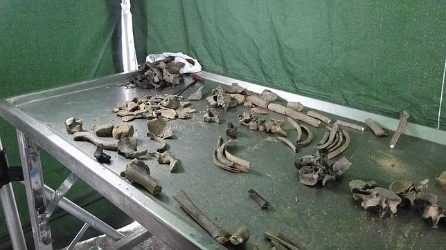 El festín caníbal de los «Tigres de Arkan»